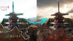 成人黄色视频在线观看-网络世界的灰色地带