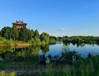 果冻传媒出品杜鹃-杜鹃，果冻传媒的璀璨绽放