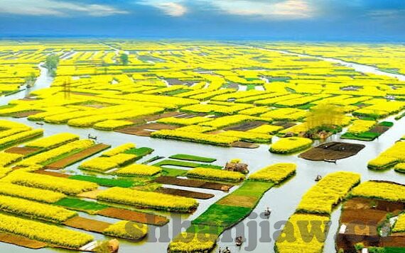 麻豆传煤怎么观看app-畅想麻豆传媒——影片观赏的全新体验
