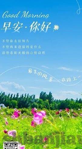 麻豆黄色app-翻阅网络海洋的旁观者视角，麻豆黄色app现象的温和分析