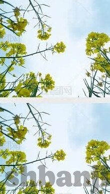麻豆md传媒-麻豆MD传媒的视觉与社会影响——多维视角解析
