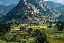 最新糖心app-探索多彩娱乐新境界，最新糖心APP的全新风貌与体验革新